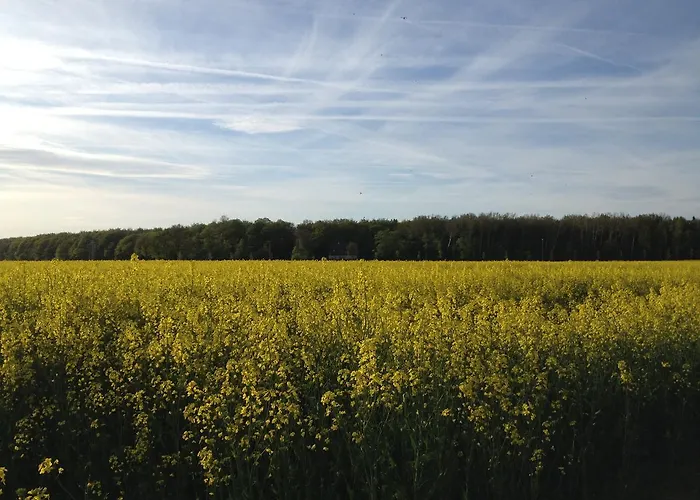 Strandblick 4 Appartamento Zingst